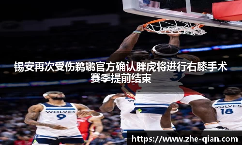 锡安再次受伤鹈鹕官方确认胖虎将进行右膝手术赛季提前结束